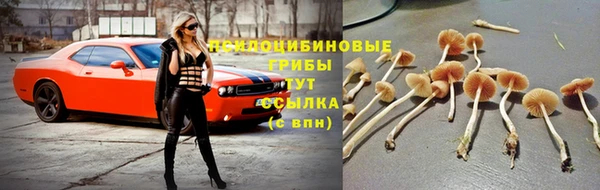 ALPHA PVP Алексеевка