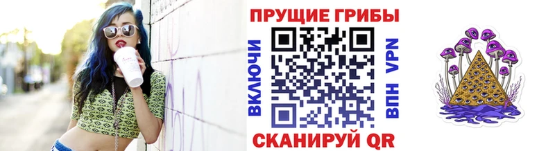 Галлюциногенные грибы Cubensis  kraken ССЫЛКА  Дно 